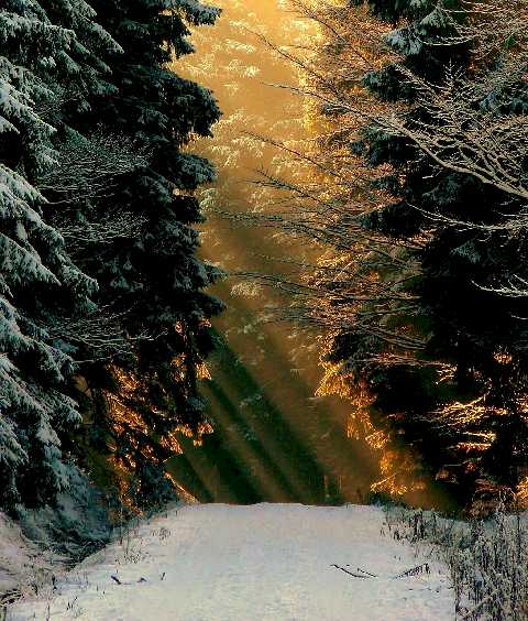 Illustration balade hiver